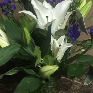 Meet your Posher, Maria